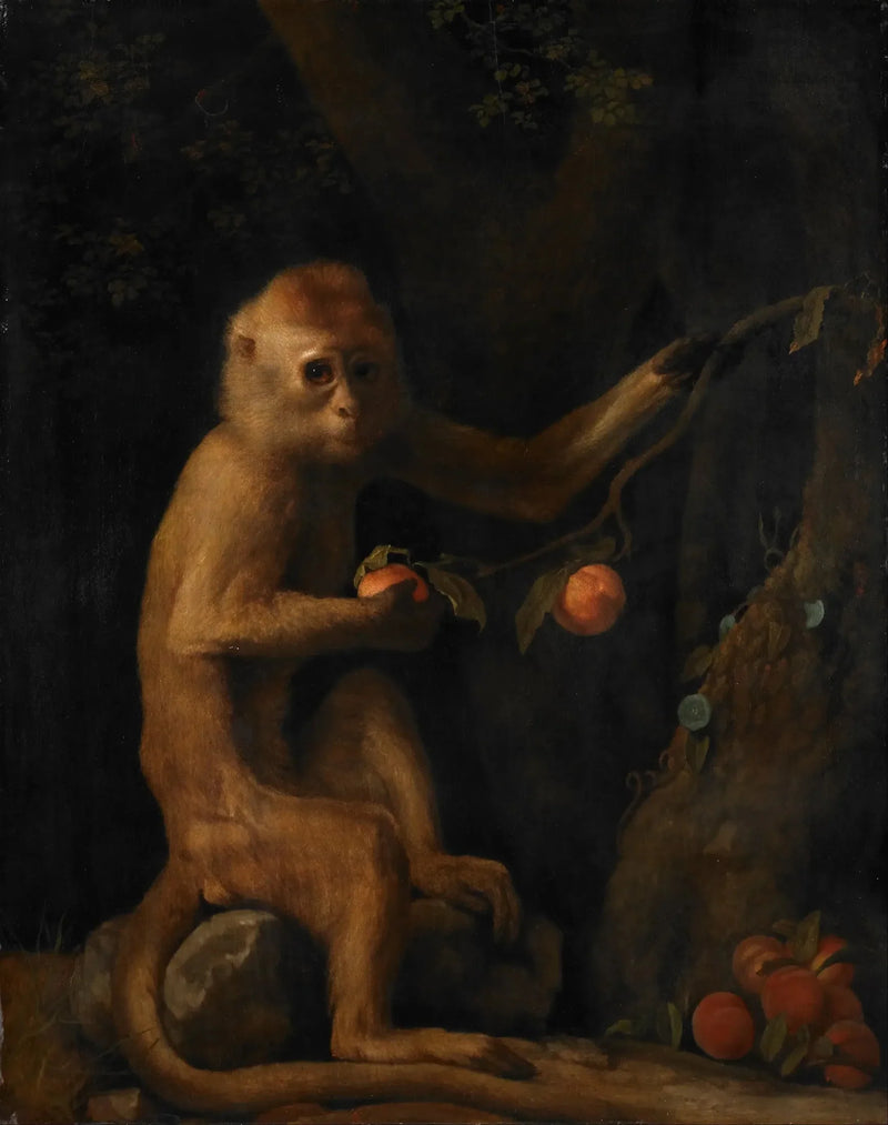 En apa - George Stubbs