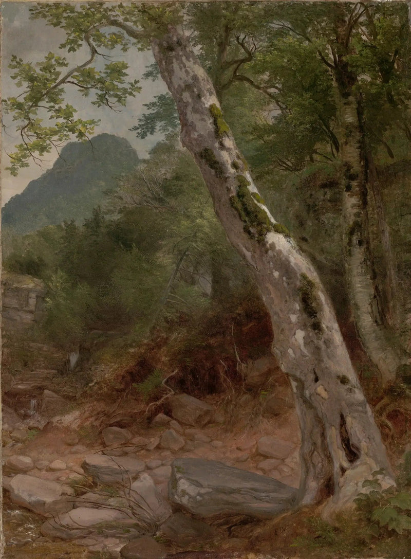 Ett sykomore, Plaaterkill Clove - Asher Brown Durand
