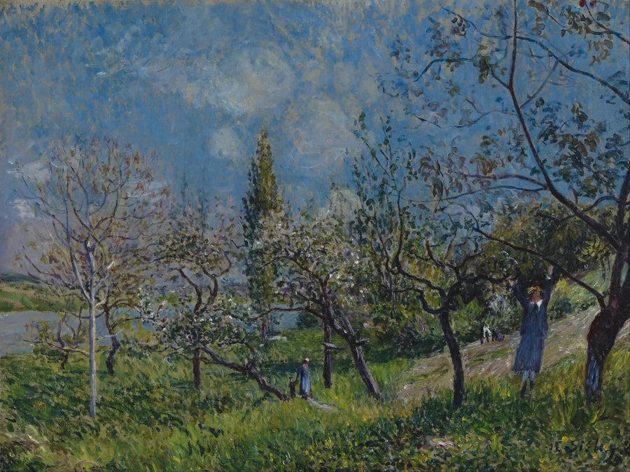En fruktträdgård på våren, Av - Alfred Sisley