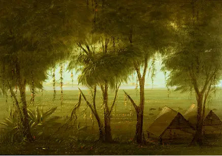 En by i Connibo - George Catlin