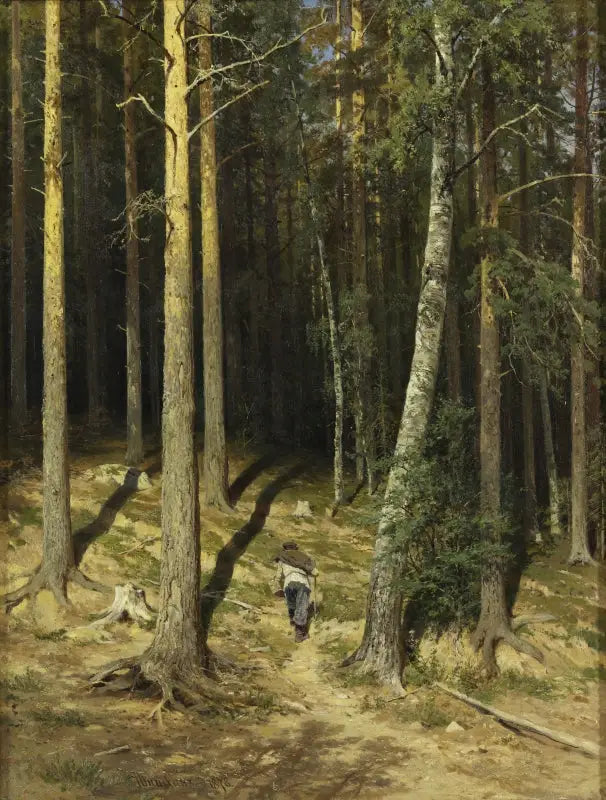 En tallskog - Ivan Chichkine