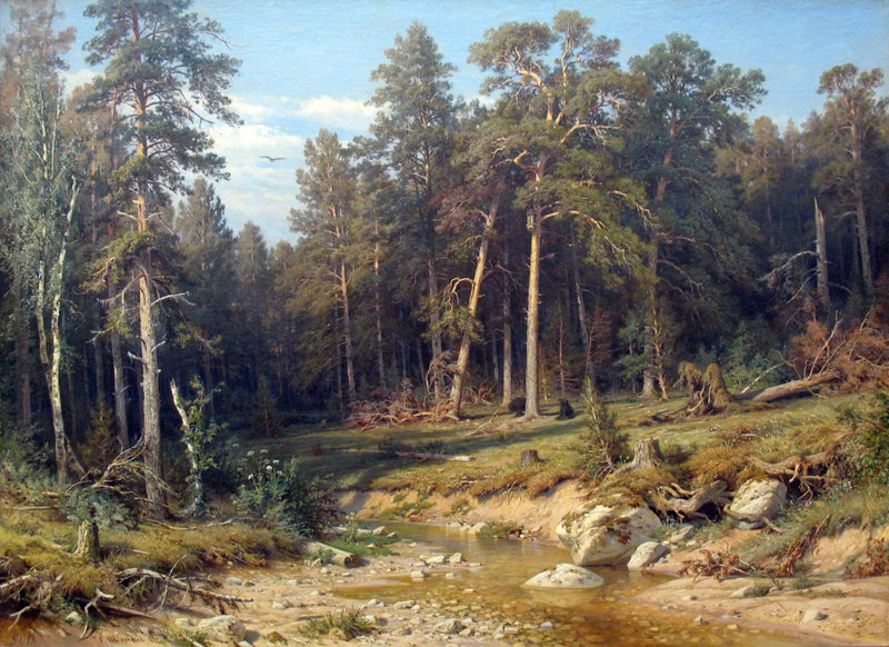 En tallskog. Skog av master i provinsen Viatka. - Ivan Chichkine