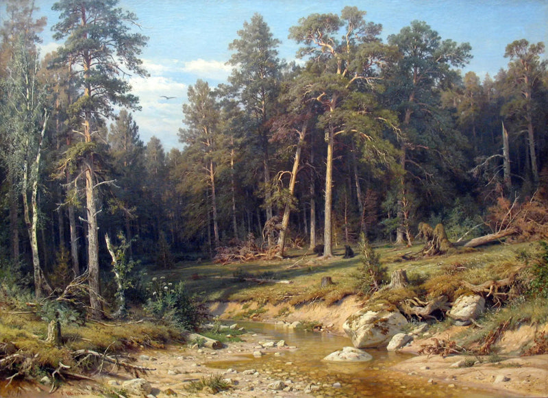 En tallskog. Skog av master i provinsen Viatka. - Ivan Chichkine
