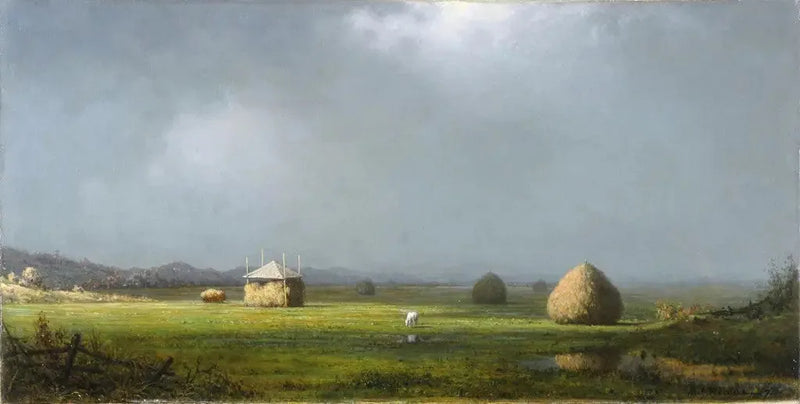 En molnig dag - Martin Johnson Heade