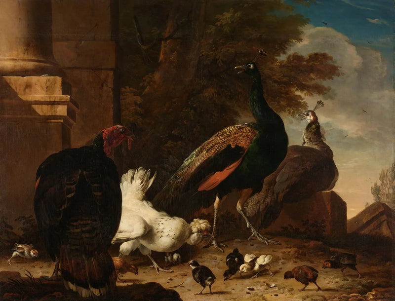 En höna med påfåglar och en kalkon - Melchior de Hondecoeter