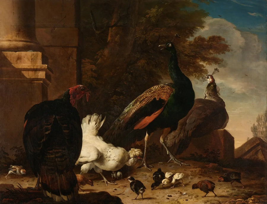 En höna med påfåglar och en kalkon - Melchior de Hondecoeter