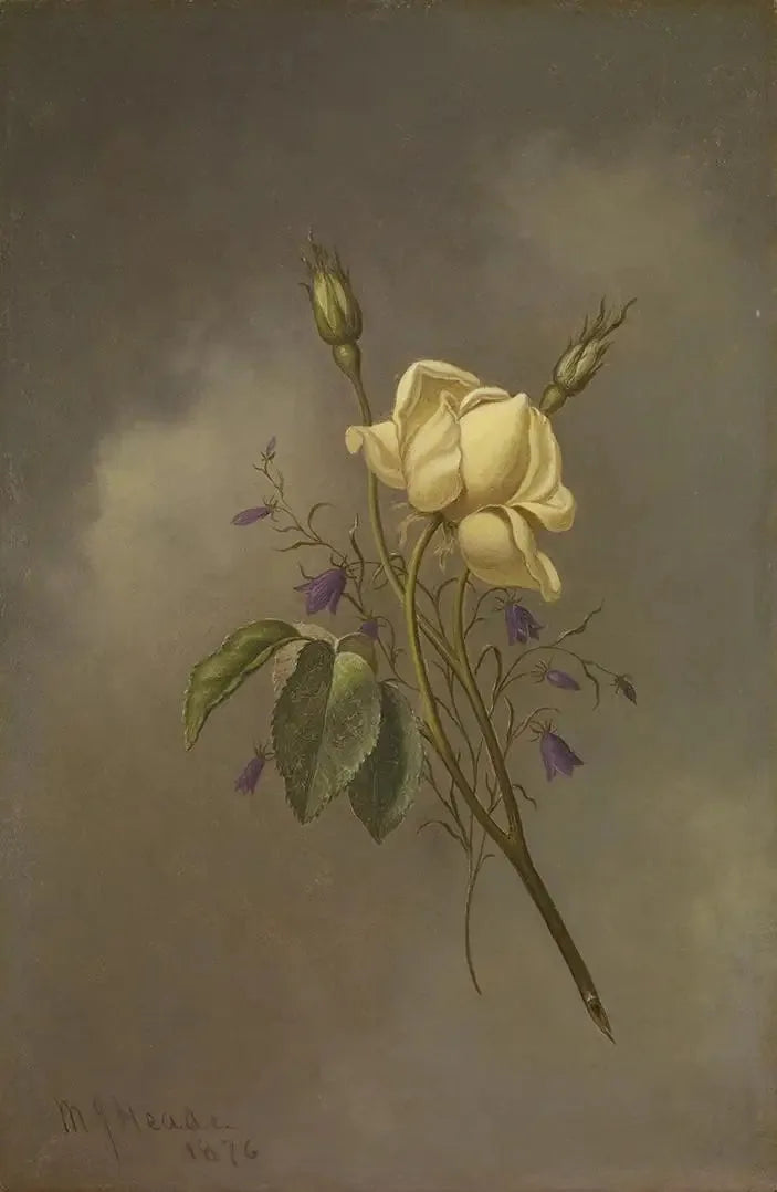En gul ros mot en molnig himmel - Martin Johnson Heade
