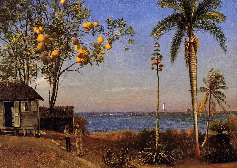 En vy över Bahamas, olja på papper monterat på papp, 48,58 x 35,24 cm - Albert Bierstadt