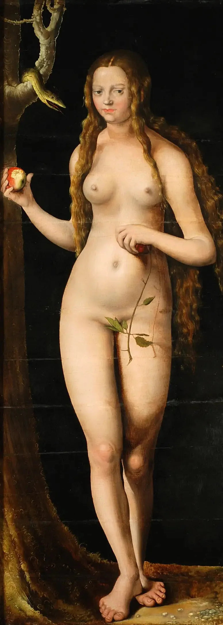 Väcka - Lucas Cranach den äldre