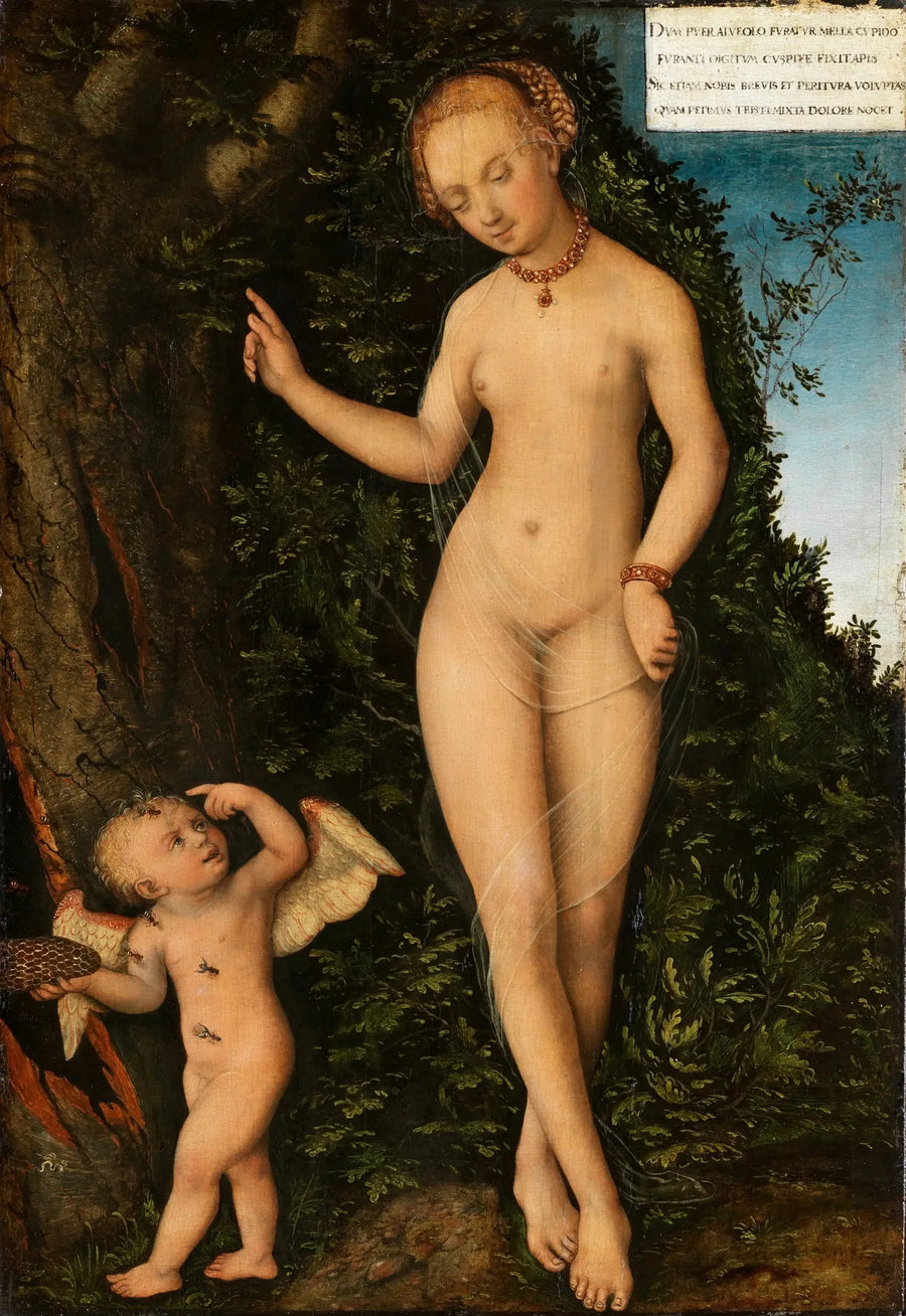 Venus med Cupido, honungsstjälken - Lucas Cranach den äldre