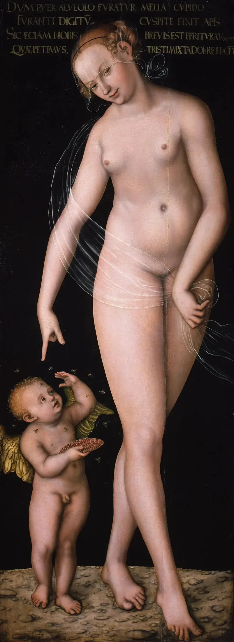 Venus med Cupido, honungsstjälaren - Lucas Cranach den äldre