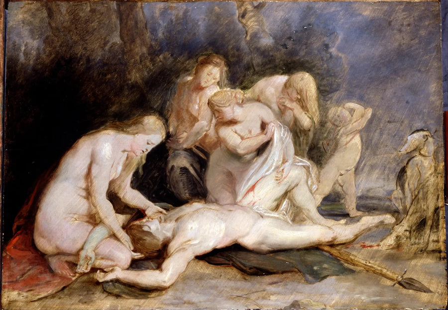 Venus som gråter över Adonis - Peter Paul Rubens