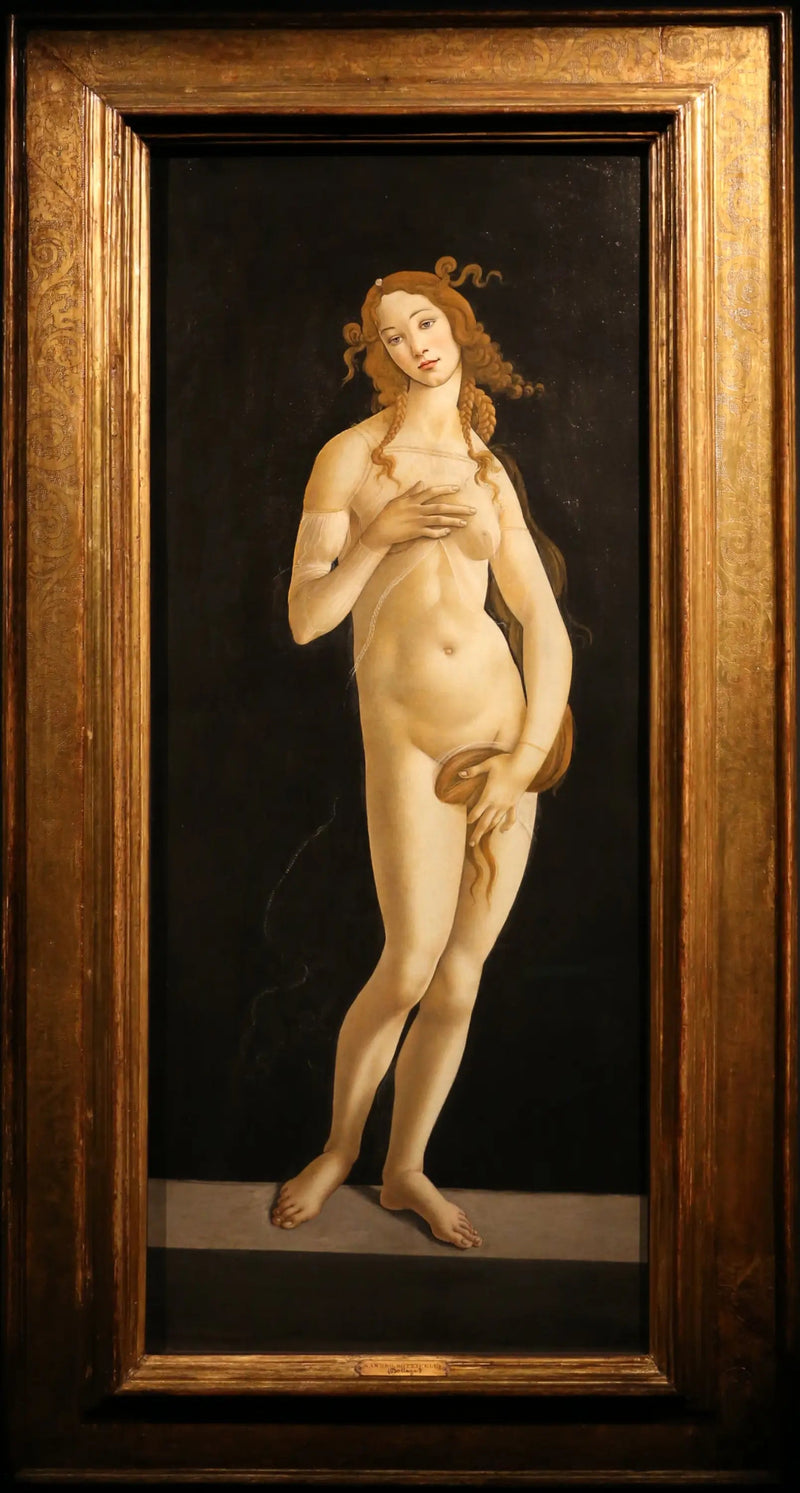 Våpennud - Sandro Botticelli