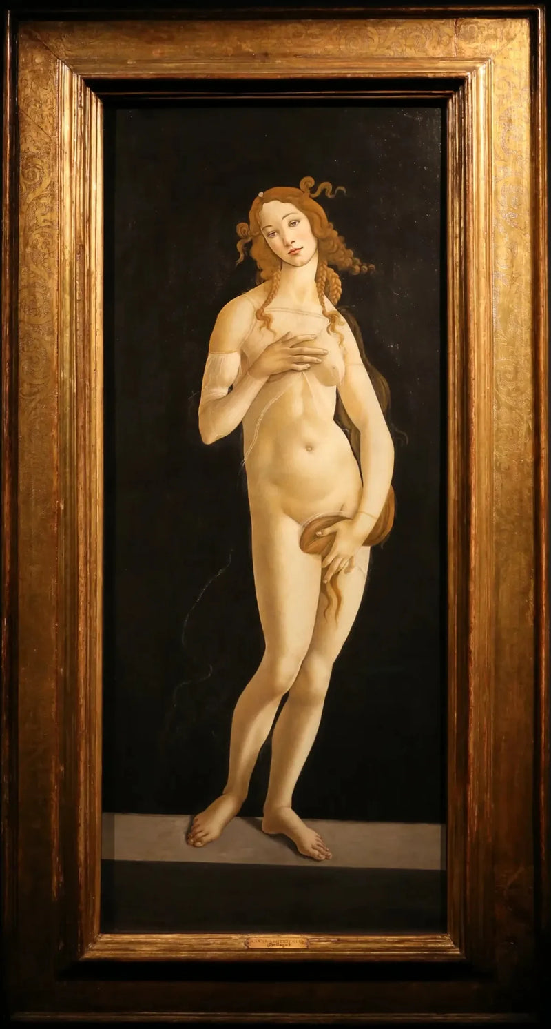 Våpennud - Sandro Botticelli
