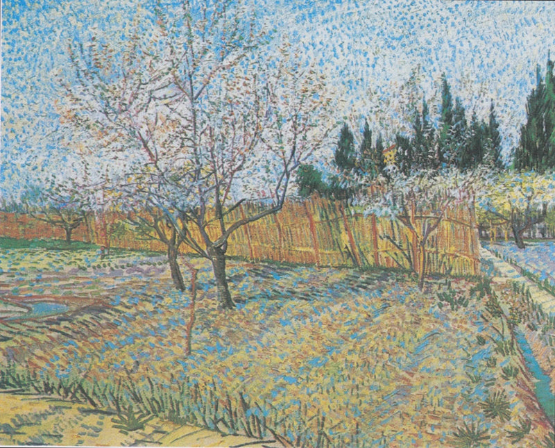 Fruktträdgård med cypresser - Vincent van Gogh