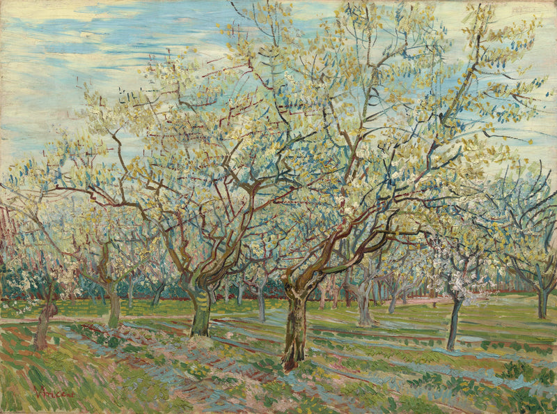 Den vita fruktträdgården - Vincent van Gogh
