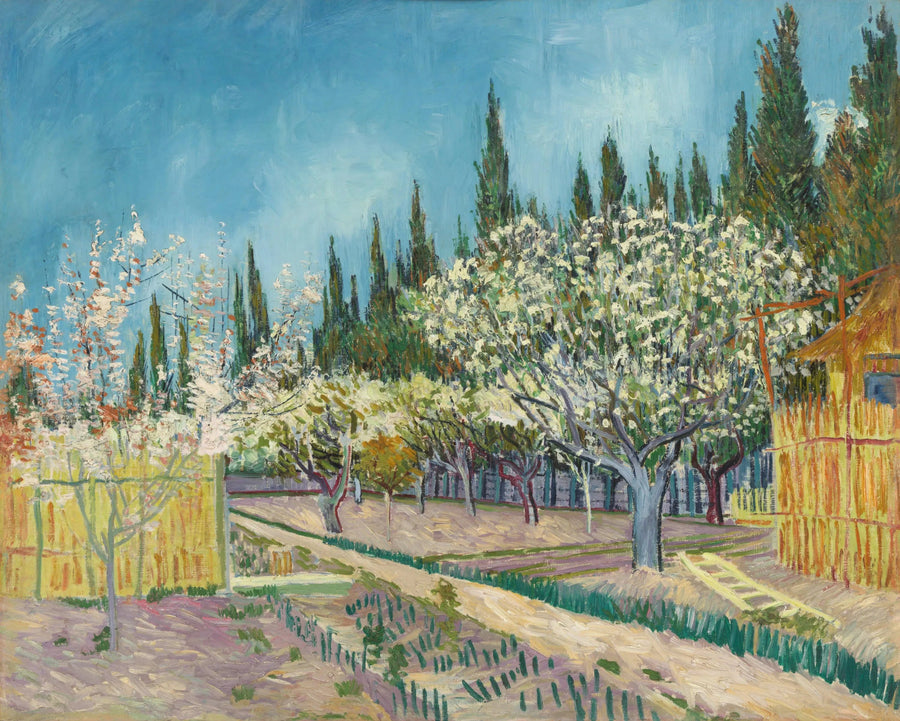 Blommande fruktträdgård, kantad av cypresser - Vincent van Gogh