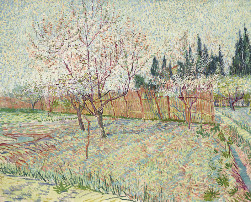 Fruktträdgård med cypresser - Vincent van Gogh