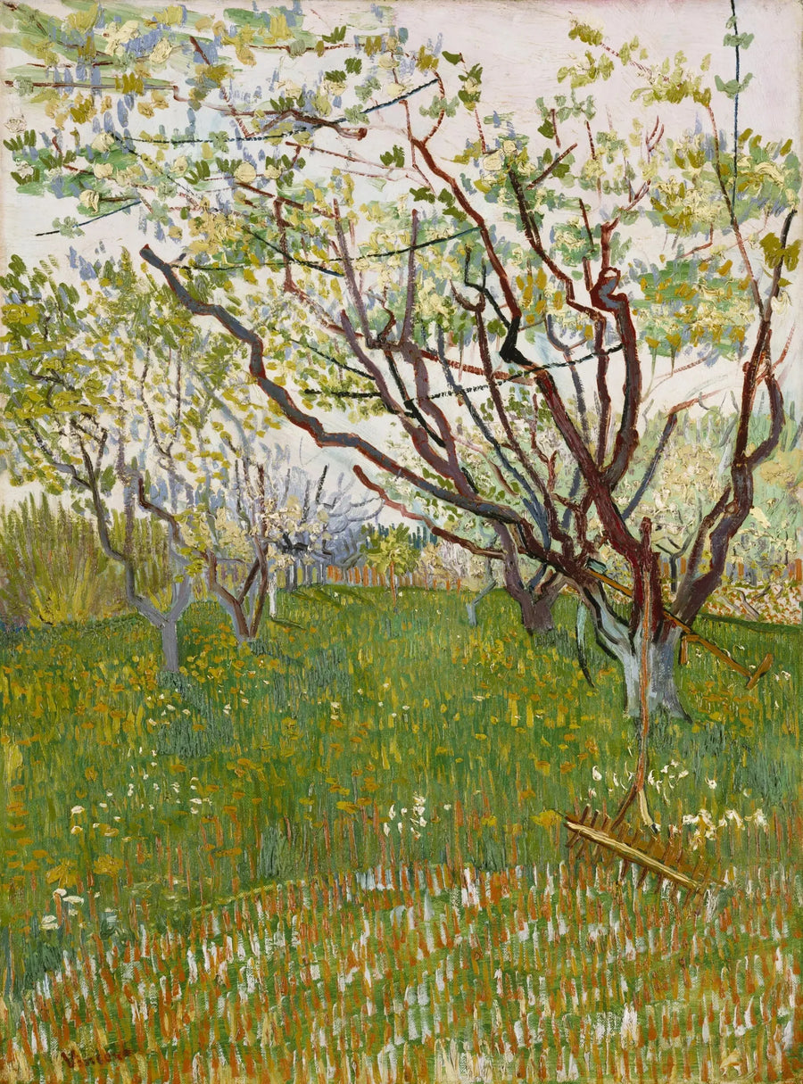 Blommande fruktträdgård - Vincent van Gogh