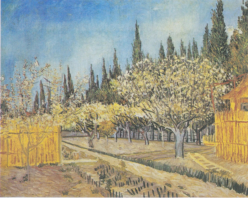 Blommande fruktträdgård, kantad av cypresser - Vincent van Gogh