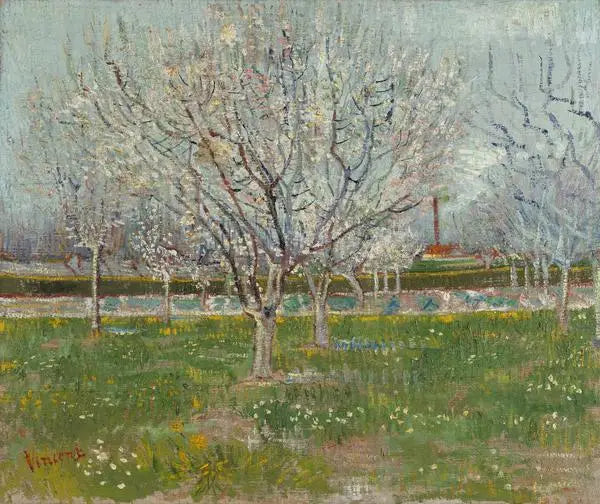 Blommande fruktträdgård - Vincent van Gogh