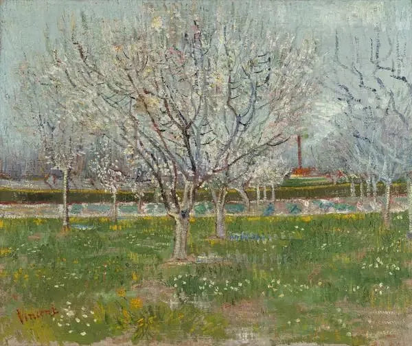 Verger en fleurs - Vincent van Gogh image 1 reproduction de peinture à l’huile