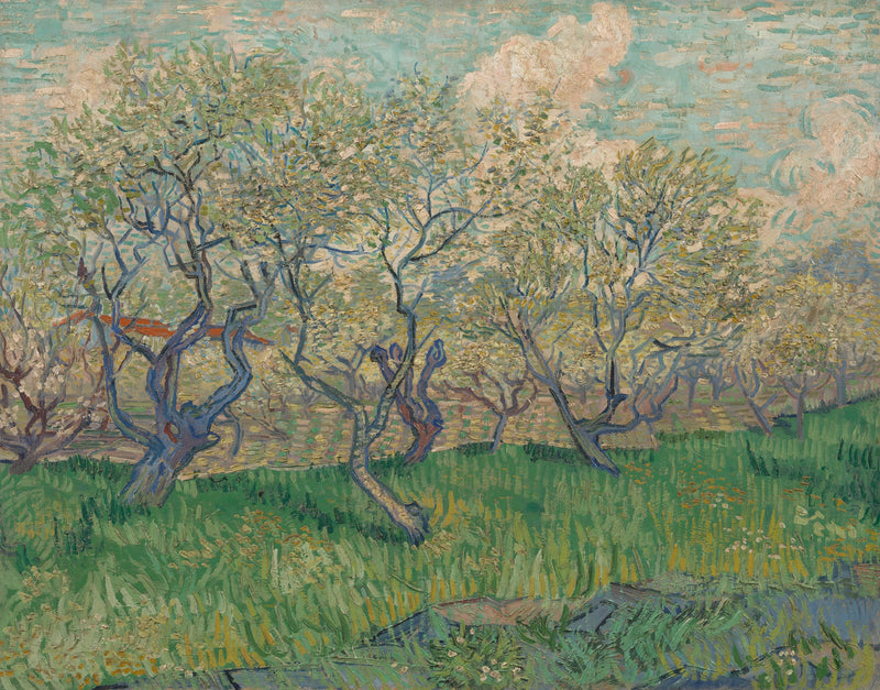 Blommande fruktträdgård - Vincent van Gogh
