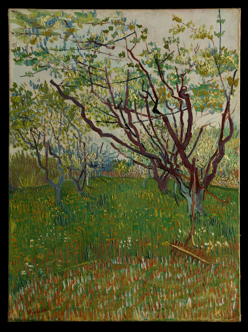 Blommande fruktträdgård - Vincent van Gogh