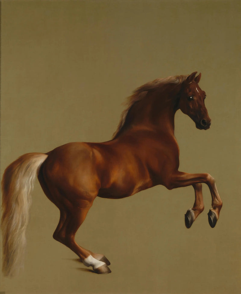 Visselpipa-jacka - George Stubbs
