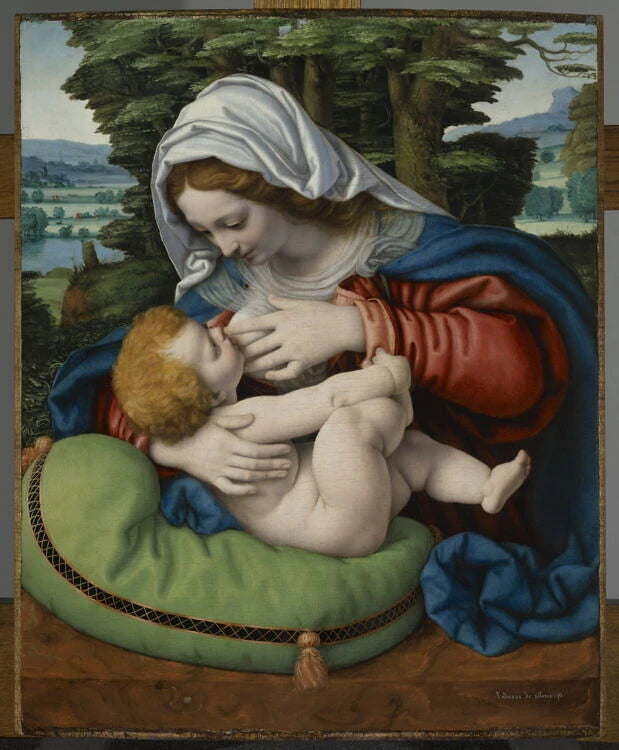 La Vierge allaitant l'Enfant, dit La Vierge au coussin vert - Andrea Solario