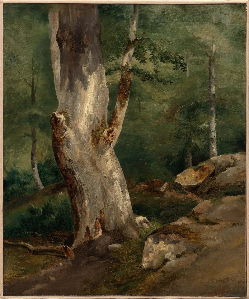 Gammal bokhassel - Jean-Baptiste Camille Corot
