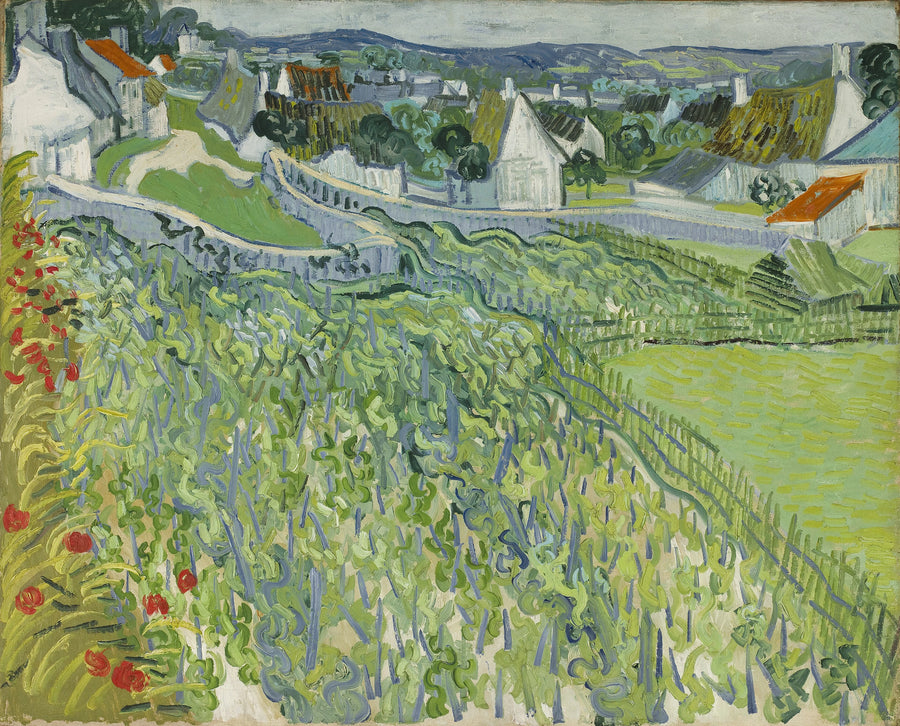 Vinodlingar i Auvers - Vincent van Gogh
