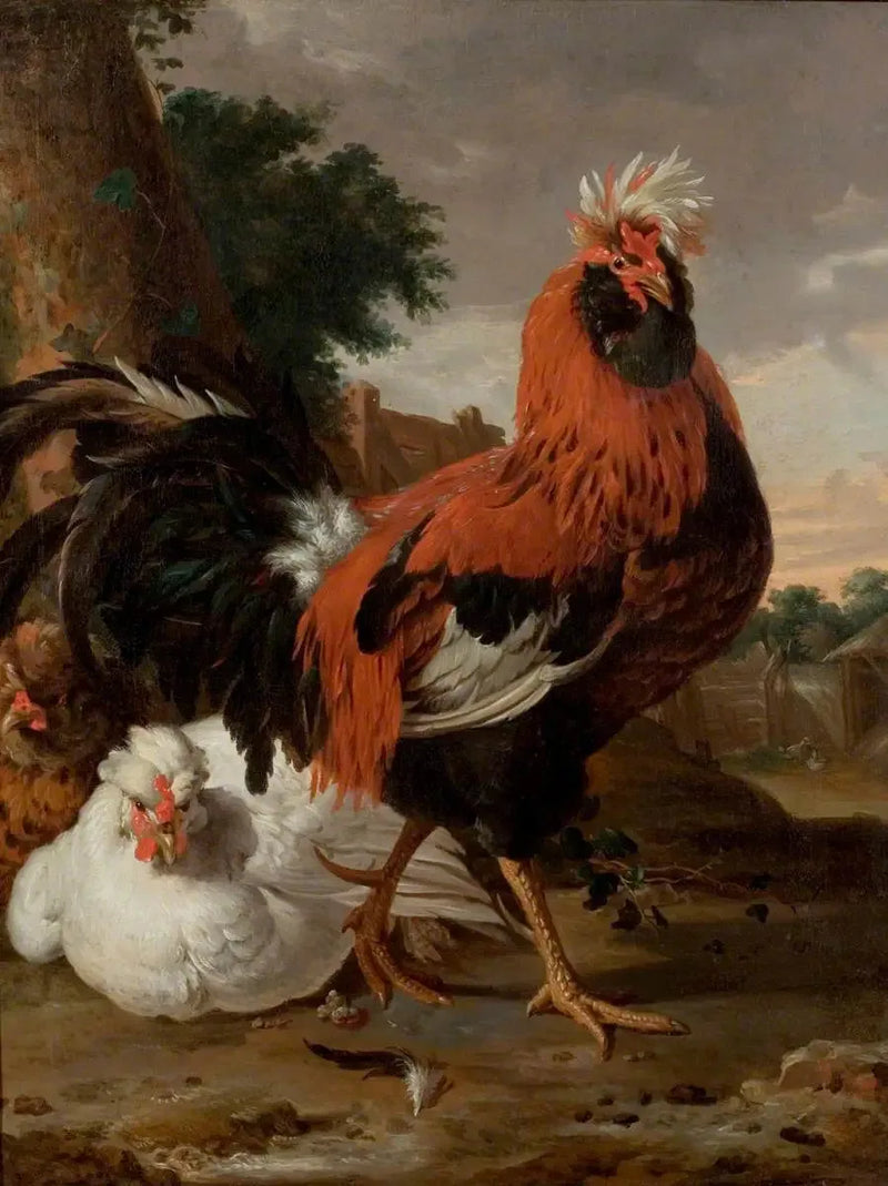 Fjäderfä - Melchior de Hondecoeter