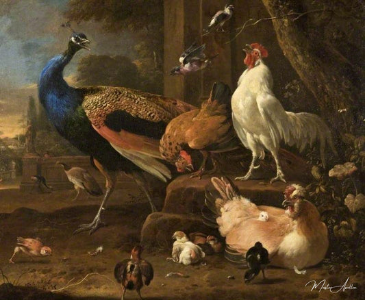 Volaille - Melchior d'Hondecoeter - Reproductions de tableaux et peintures haut de gamme