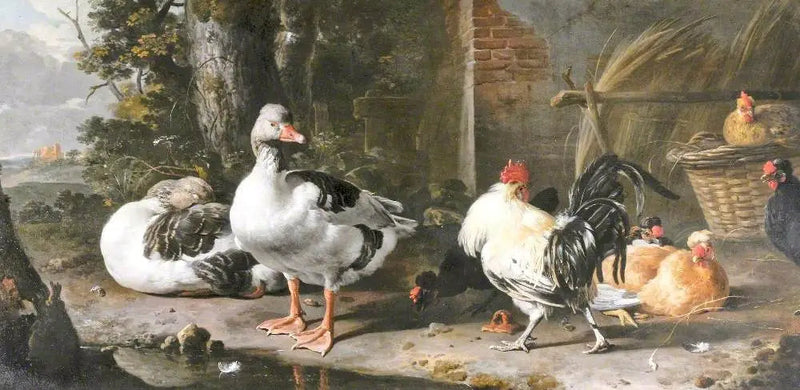 Fjäderfä och änder - Melchior de Hondecoeter