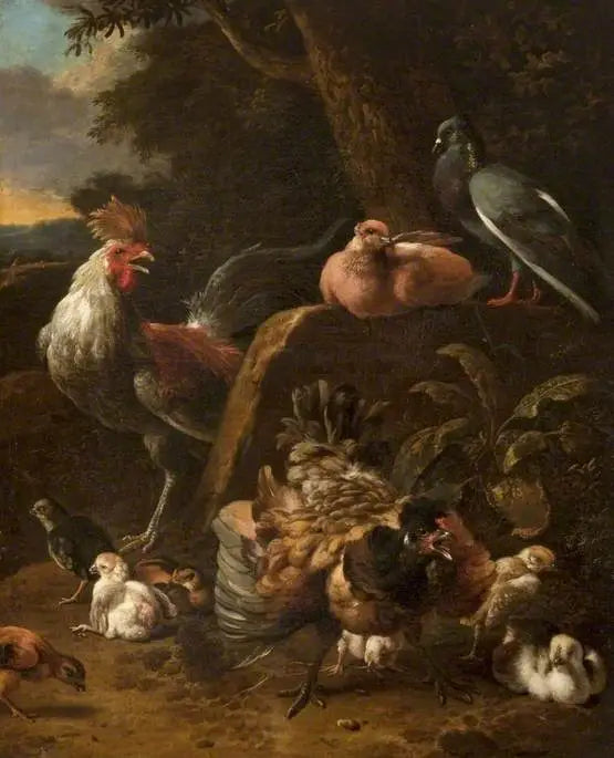 Fågel och duvor - Melchior de Hondecoeter
