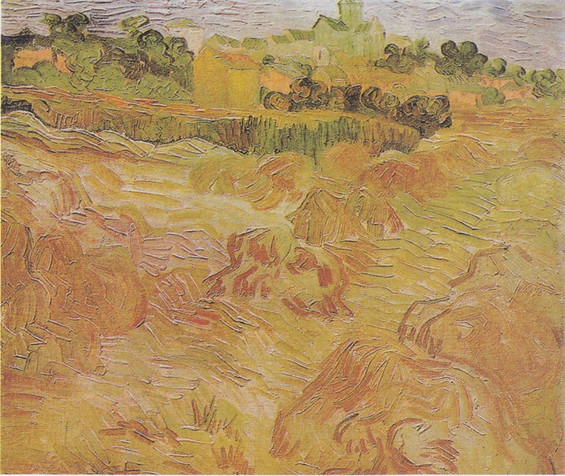 Vetefält med Auvers i bakgrunden - Vincent van Gogh