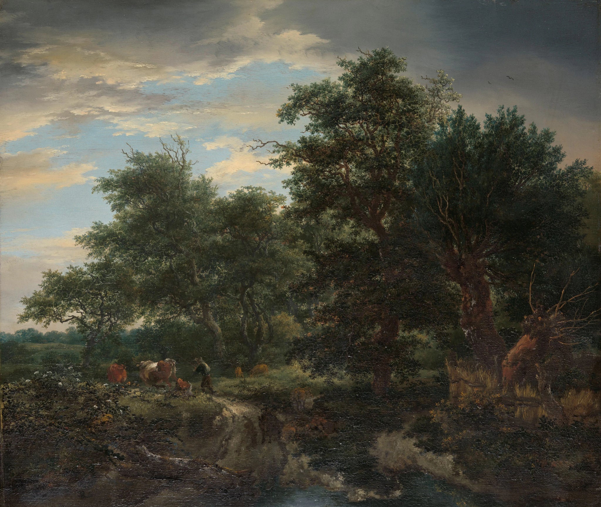 Vue sur la forêt - Jacob van Ruisdael