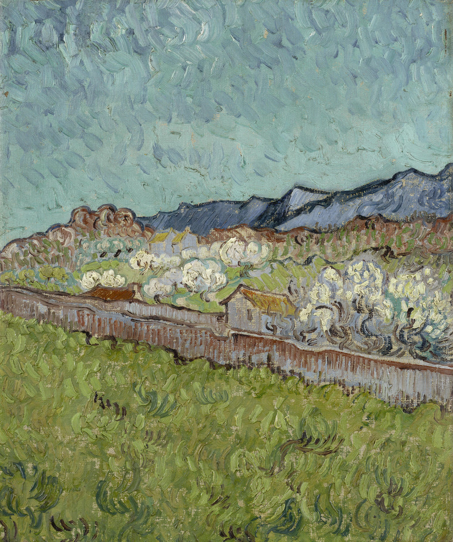 Utsikt över Alpilles - Vincent van Gogh