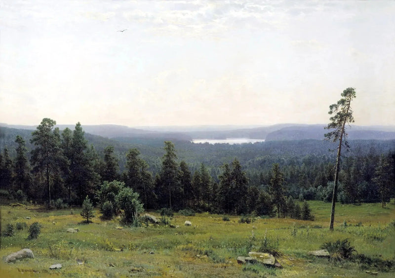 Fjärrutsikter av skogen - Ivan Chichkine