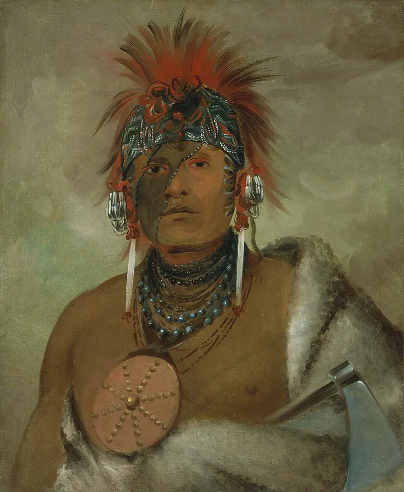Wá-hón-ga-shee, Ingen dåre, en stor idiot - George Catlin