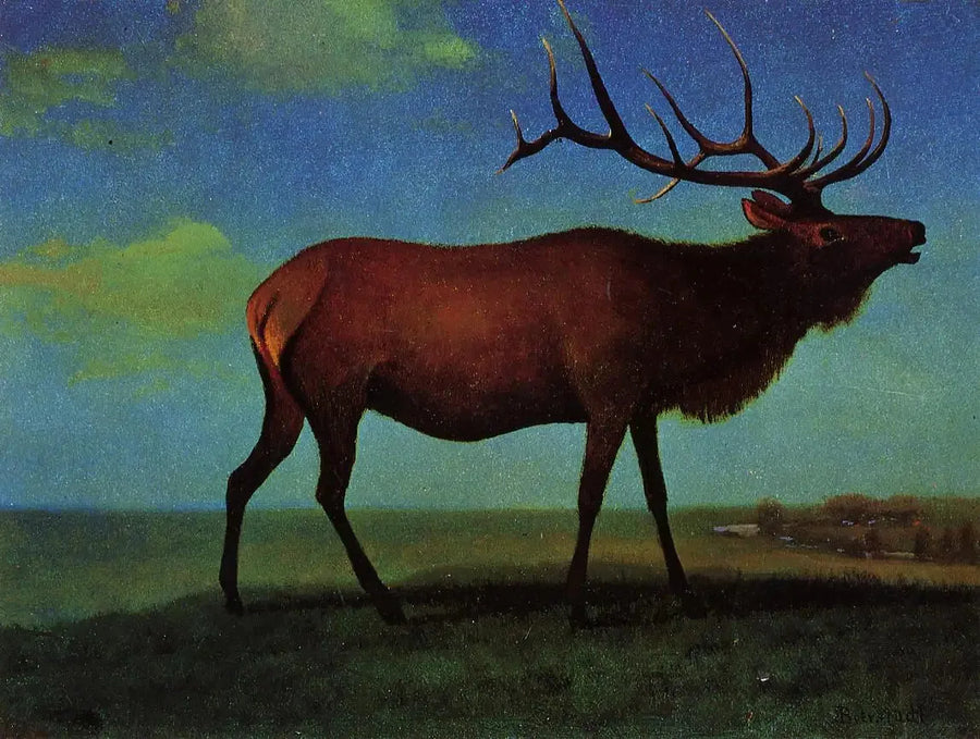 Hane Wapiti - Albert Bierstadt