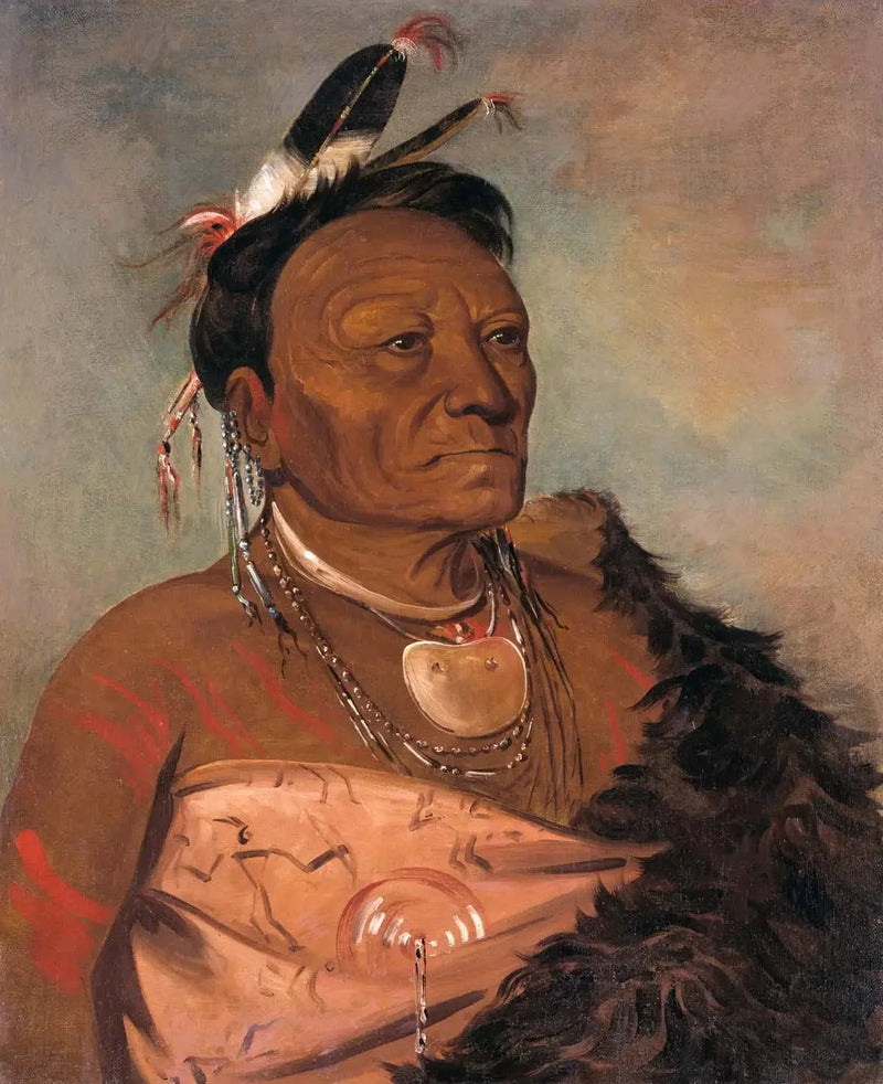 Wee-tá-ra-shá-ro, stamledare - George Catlin
