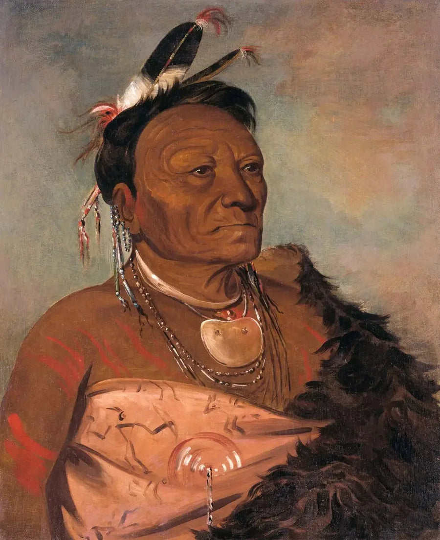 Wee-tá-ra-shá-ro, stamledare - George Catlin
