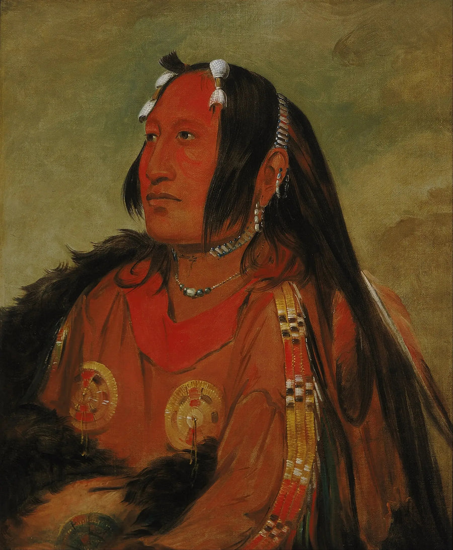Wi-jún-jon, Pippihuvud av duva (La Lumière), en ung utmärkt krigare - George Catlin