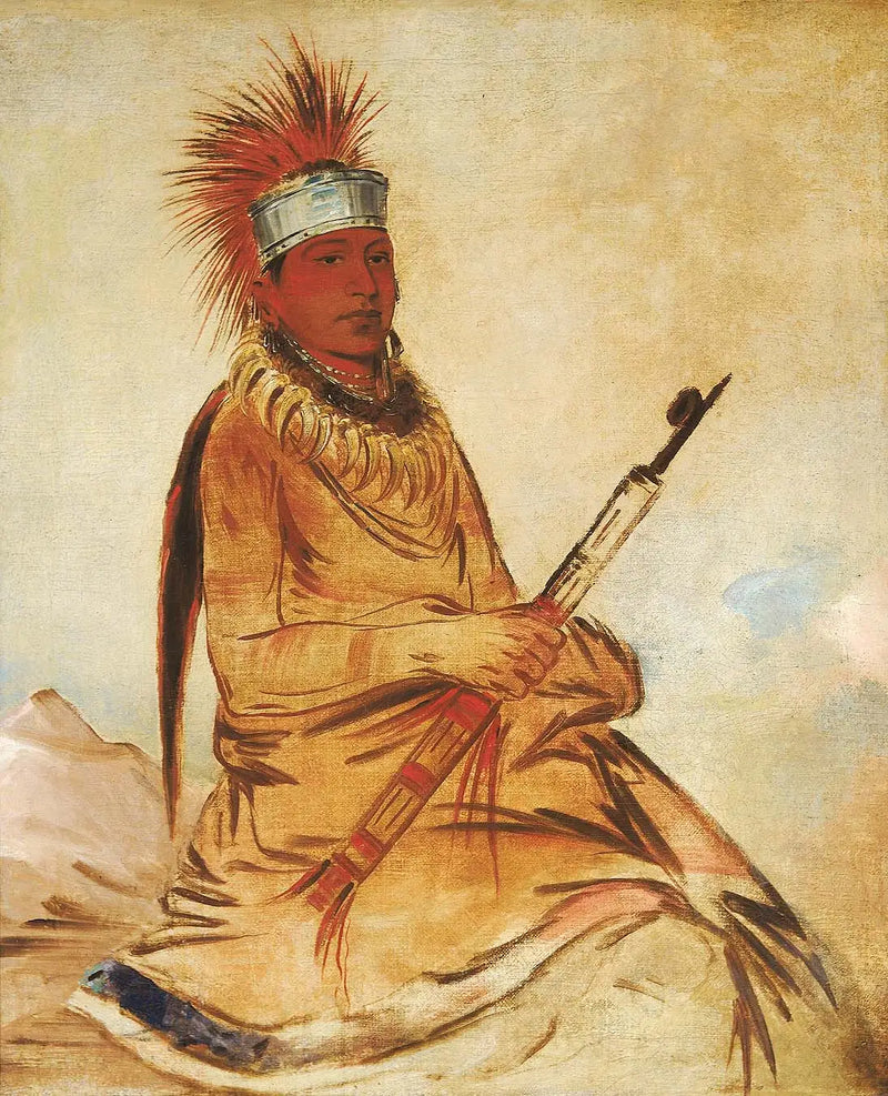 W'y-ee-yogh, en förnuftig man, en hedervärd - George Catlin
